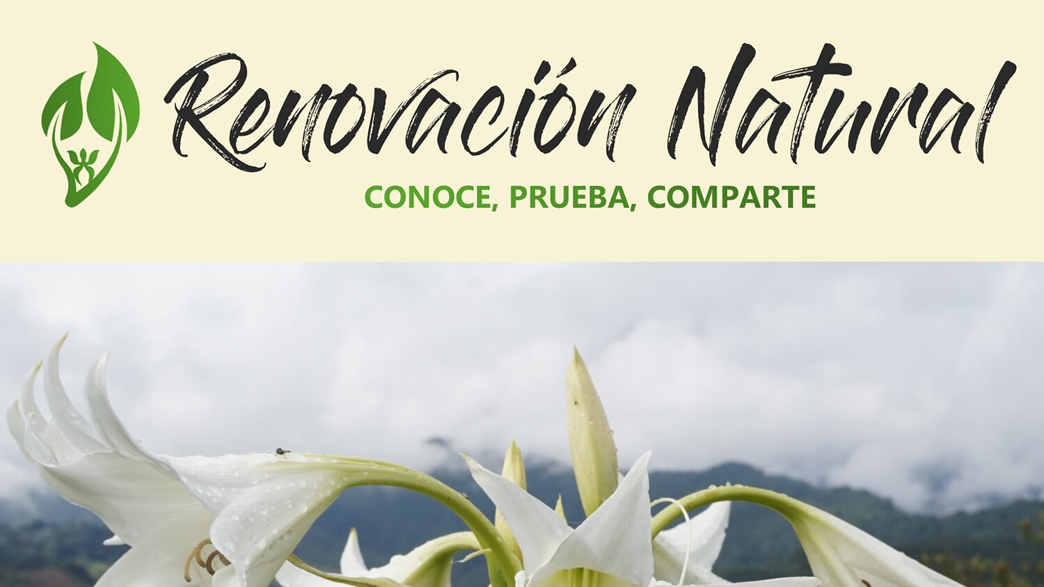 renovación natural blog